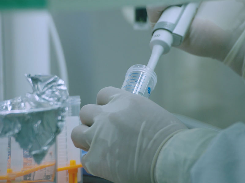 Humoral och cellulär immunitet för Mrna Rsv-vaccinet var betydligt högre än för internationellt marknadsförda produkter Ansökan om klinisk prövning i USA